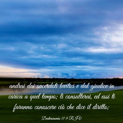 Picture 03 - Deuteronomio 17:9 RIV - andrai dai sacerdoti levitici e dal giudice in - Bible Verse Picture