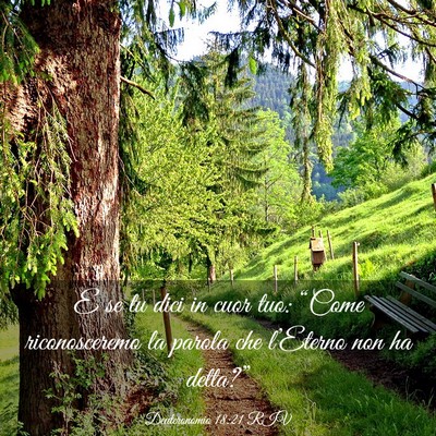 Picture 03 - Deuteronomio 18:21 RIV - E se tu dici in cuor tuo: “Come riconosceremo - Bible Verse Picture