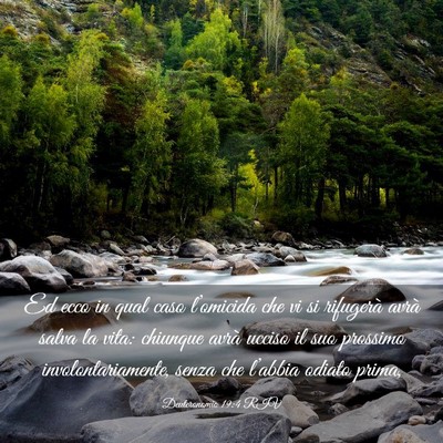 Picture 03 - Deuteronomio 19:4 RIV - Ed ecco in qual caso l’omicida che vi si - Bible Verse Picture