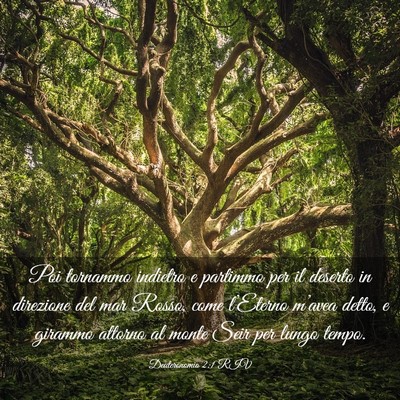 Picture 03 - Deuteronomio 2:1 RIV - Poi tornammo indietro e partimmo per il deserto - Bible Verse Picture