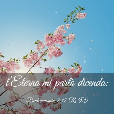 Picture 03 - Deuteronomio 2:17 RIV - l’Eterno mi parlò - Bible Verse Picture