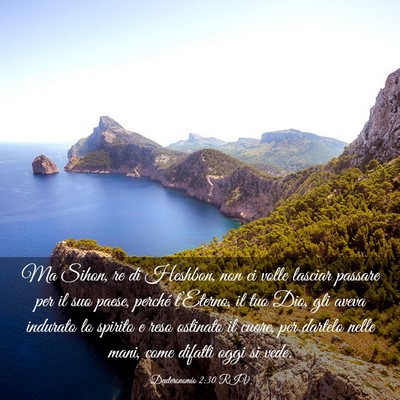 Picture 03 - Deuteronomio 2:30 RIV - Ma Sihon, re di Heshbon, non ci volle lasciar - Bible Verse Picture
