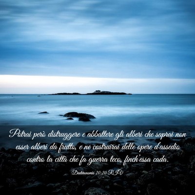 Picture 03 - Deuteronomio 20:20 RIV - Potrai però distruggere e abbattere gli alberi - Bible Verse Picture