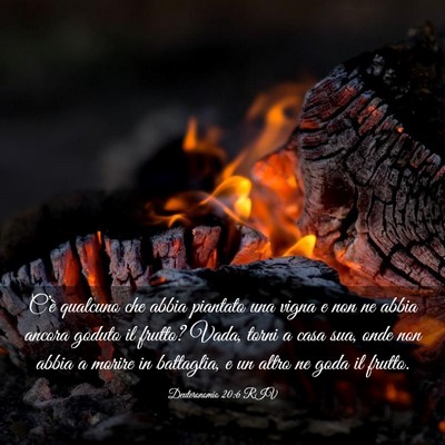 Picture 03 - Deuteronomio 20:6 RIV - C’è qualcuno che abbia piantato una vigna e - Bible Verse Picture