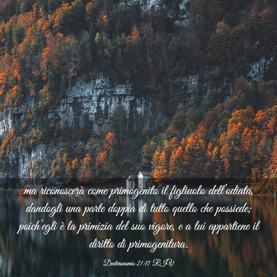 Picture 03 - Deuteronomio 21:17 RIV - ma riconoscerà come primogenito il figliuolo - Bible Verse Picture