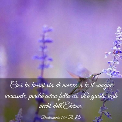 Picture 03 - Deuteronomio 21:9 RIV - Così tu torrai via di mezzo a te il sangue - Bible Verse Picture
