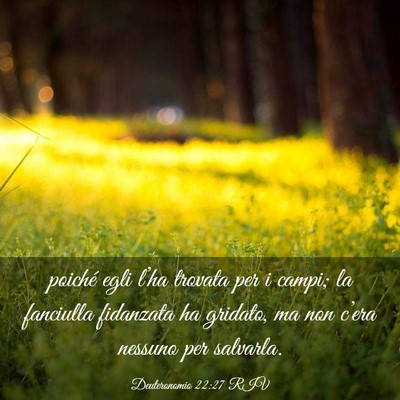 Picture 03 - Deuteronomio 22:27 RIV - poiché egli l’ha trovata per i campi; la - Bible Verse Picture