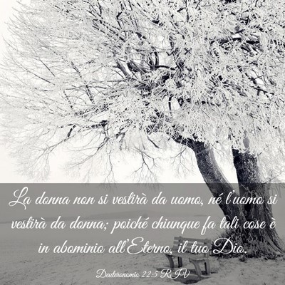 Picture 03 - Deuteronomio 22:5 RIV - La donna non si vestirà da uomo, né l’uomo si - Bible Verse Picture