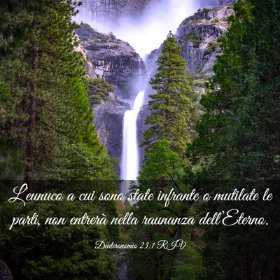 Picture 03 - Deuteronomio 23:1 RIV - L’eunuco a cui sono state infrante o mutilate - Bible Verse Picture