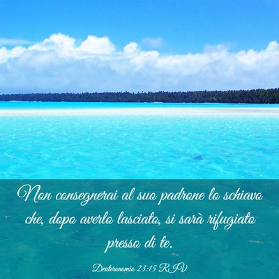 Picture 03 - Deuteronomio 23:15 RIV - Non consegnerai al suo padrone lo schiavo che, - Bible Verse Picture
