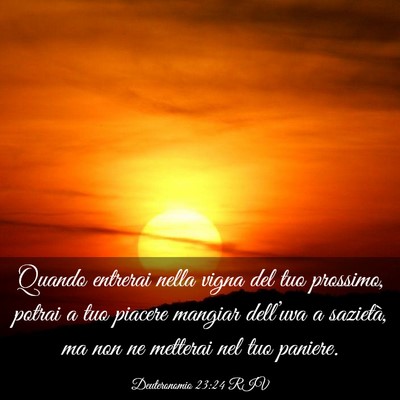 Picture 03 - Deuteronomio 23:24 RIV - Quando entrerai nella vigna del tuo prossimo, - Bible Verse Picture