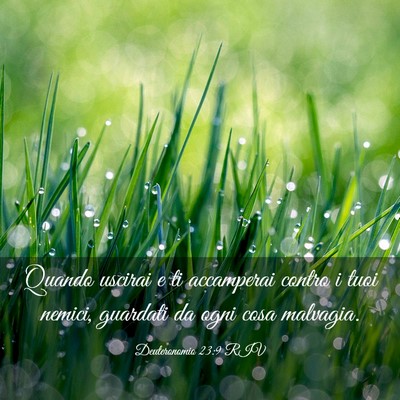 Picture 03 - Deuteronomio 23:9 RIV - Quando uscirai e ti accamperai contro i tuoi - Bible Verse Picture