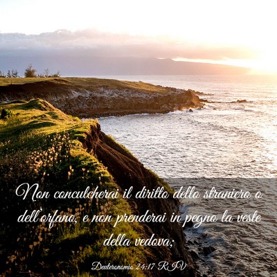 Picture 03 - Deuteronomio 24:17 RIV - Non conculcherai il diritto dello straniero o - Bible Verse Picture