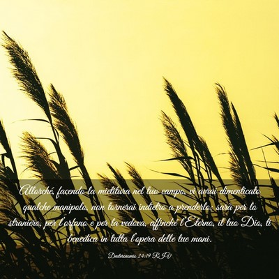 Picture 03 - Deuteronomio 24:19 RIV - Allorché, facendo la mietitura nel tuo campo, vi - Bible Verse Picture