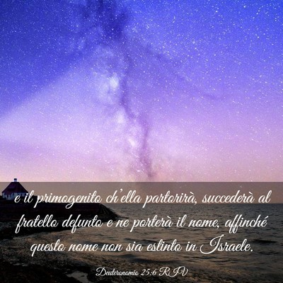 Picture 03 - Deuteronomio 25:6 RIV - e il primogenito ch’ella partorirà, succederà - Bible Verse Picture