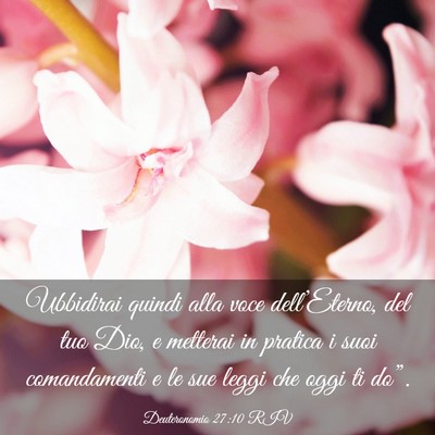 Picture 03 - Deuteronomio 27:10 RIV - Ubbidirai quindi alla voce dell’Eterno, del tuo - Bible Verse Picture