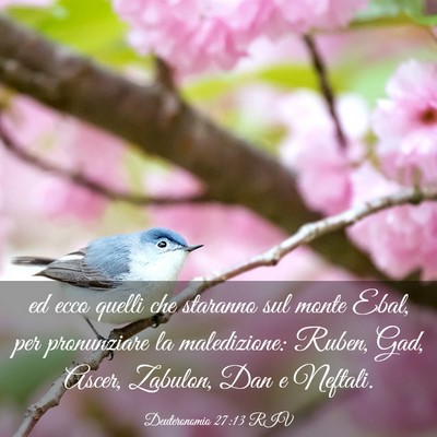Picture 03 - Deuteronomio 27:13 RIV - ed ecco quelli che staranno sul monte Ebal, per - Bible Verse Picture