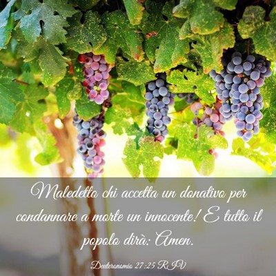 Picture 03 - Deuteronomio 27:25 RIV - Maledetto chi accetta un donativo per condannare - Bible Verse Picture