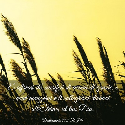 Picture 03 - Deuteronomio 27:7 RIV - E offrirai de’ sacrifizi di azioni di grazie, e - Bible Verse Picture