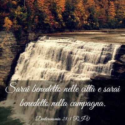 Picture 03 - Deuteronomio 28:3 RIV - Sarai benedetto nelle città e sarai benedetto - Bible Verse Picture