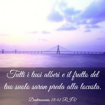 Picture 03 - Deuteronomio 28:42 RIV - Tutti i tuoi alberi e il frutto del tuo suolo - Bible Verse Picture