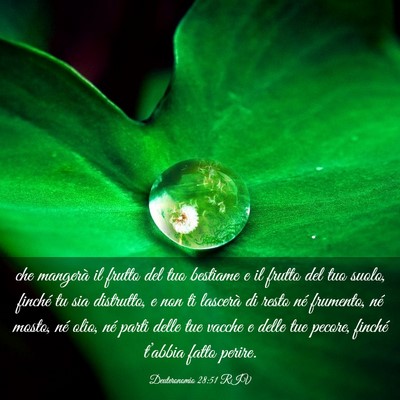 Picture 03 - Deuteronomio 28:51 RIV - che mangerà il frutto del tuo bestiame e il - Bible Verse Picture