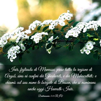 Picture 03 - Deuteronomio 3:14 RIV - Iair, figliuolo di Manasse, prese tutta la - Bible Verse Picture