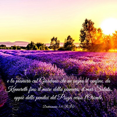 Picture 03 - Deuteronomio 3:17 RIV - e la pianura col Giordano che ne segna il - Bible Verse Picture