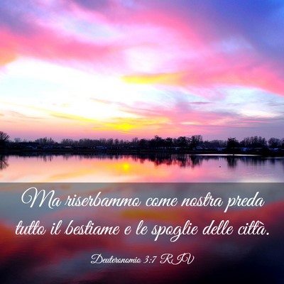 Picture 03 - Deuteronomio 3:7 RIV - Ma riserbammo come nostra preda tutto il bestiame - Bible Verse Picture