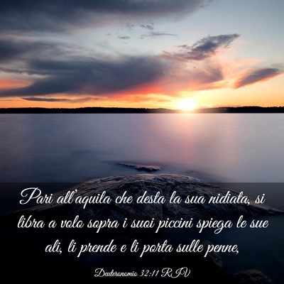 Picture 03 - Deuteronomio 32:11 RIV - Pari all’aquila che desta la sua nidiata, si - Bible Verse Picture