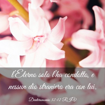 Picture 03 - Deuteronomio 32:12 RIV - l’Eterno solo l’ha condotto, e nessun dio - Bible Verse Picture