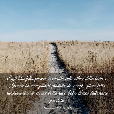 Picture 03 - Deuteronomio 32:13 RIV - Egli l’ha fatto passare a cavallo sulle alture - Bible Verse Picture