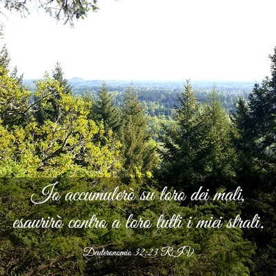 Picture 03 - Deuteronomio 32:23 RIV - Io accumulerò su loro dei mali, esaurirò contro - Bible Verse Picture