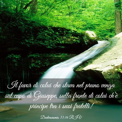Picture 03 - Deuteronomio 33:16 RIV - Il favor di colui che stava nel pruno venga sul - Bible Verse Picture
