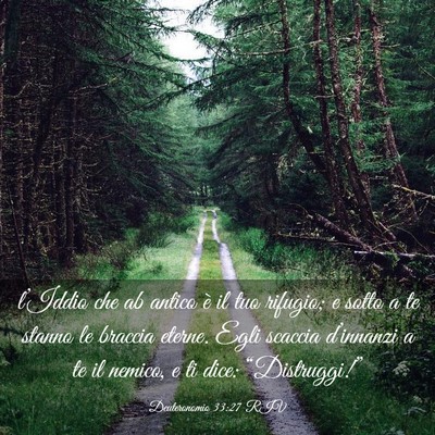 Picture 03 - Deuteronomio 33:27 RIV - l’Iddio che ab antico è il tuo rifugio; e - Bible Verse Picture