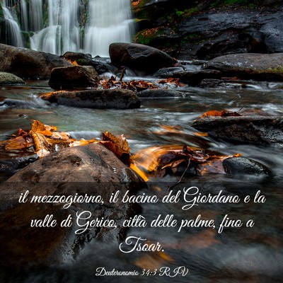 Picture 03 - Deuteronomio 34:3 RIV - il mezzogiorno, il bacino del Giordano e la valle - Bible Verse Picture
