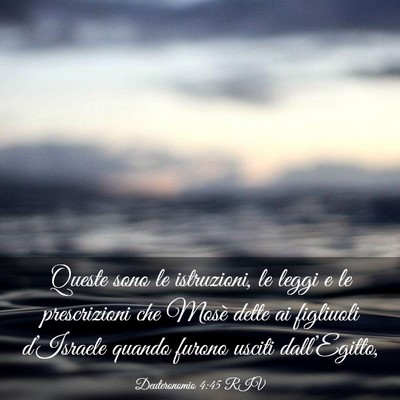 Picture 03 - Deuteronomio 4:45 RIV - Queste sono le istruzioni, le leggi e le - Bible Verse Picture