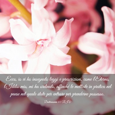 Picture 03 - Deuteronomio 4:5 RIV - Ecco, io vi ho insegnato leggi e prescrizioni, - Bible Verse Picture
