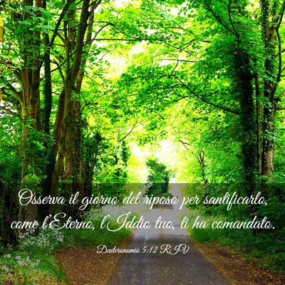 Picture 03 - Deuteronomio 5:12 RIV - Osserva il giorno del riposo per santificarlo, - Bible Verse Picture