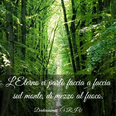 Picture 03 - Deuteronomio 5:4 RIV - L’Eterno vi parlò faccia a faccia sul monte, - Bible Verse Picture