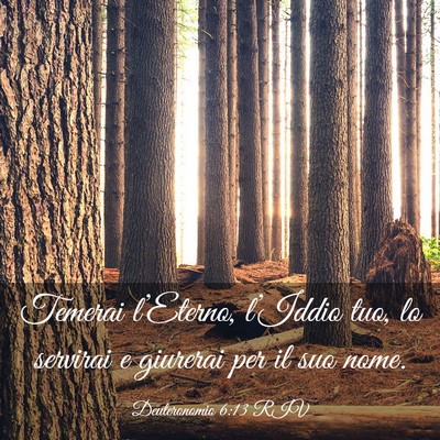 Picture 03 - Deuteronomio 6:13 RIV - Temerai l’Eterno, l’Iddio tuo, lo servirai e - Bible Verse Picture