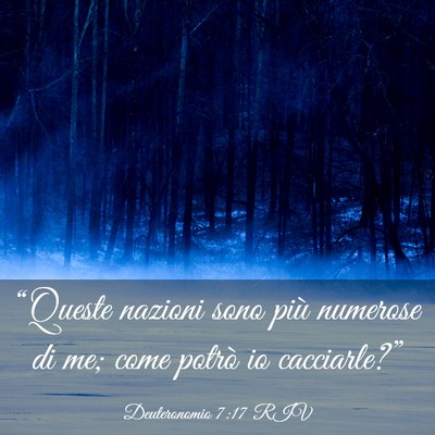 Picture 03 - Deuteronomio 7:17 RIV - “Queste nazioni sono più numerose di me; come - Bible Verse Picture