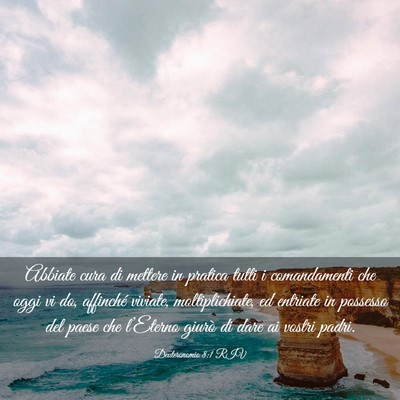 Picture 03 - Deuteronomio 8:1 RIV - Abbiate cura di mettere in pratica tutti i - Bible Verse Picture