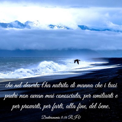 Picture 03 - Deuteronomio 8:16 RIV - che nel deserto t’ha nutrito di manna che i - Bible Verse Picture