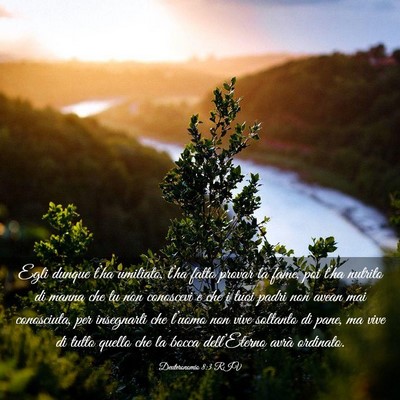 Picture 03 - Deuteronomio 8:3 RIV - Egli dunque t’ha umiliato, t’ha fatto provar - Bible Verse Picture