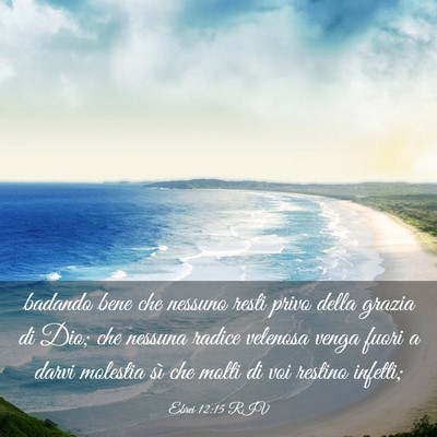 Picture 03 - Ebrei 12:15 RIV - badando bene che nessuno resti privo della grazia - Bible Verse Picture