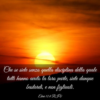 Picture 03 - Ebrei 12:8 RIV - Che se siete senza quella disciplina della quale - Bible Verse Picture