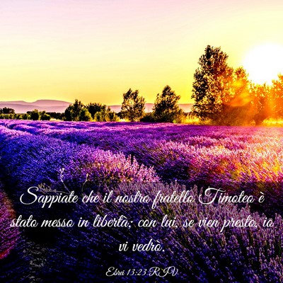 Picture 03 - Ebrei 13:23 RIV - Sappiate che il nostro fratello Timoteo è stato - Bible Verse Picture