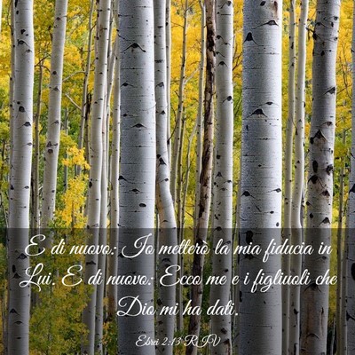 Picture 03 - Ebrei 2:13 RIV - E di nuovo: Io metterò la mia fiducia in Lui. E - Bible Verse Picture