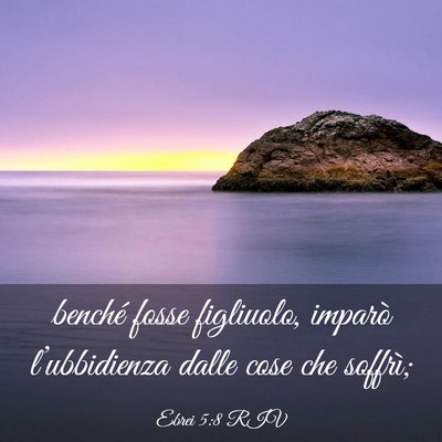 Picture 03 - Ebrei 5:8 RIV - benché fosse figliuolo, imparò l’ubbidienza - Bible Verse Picture